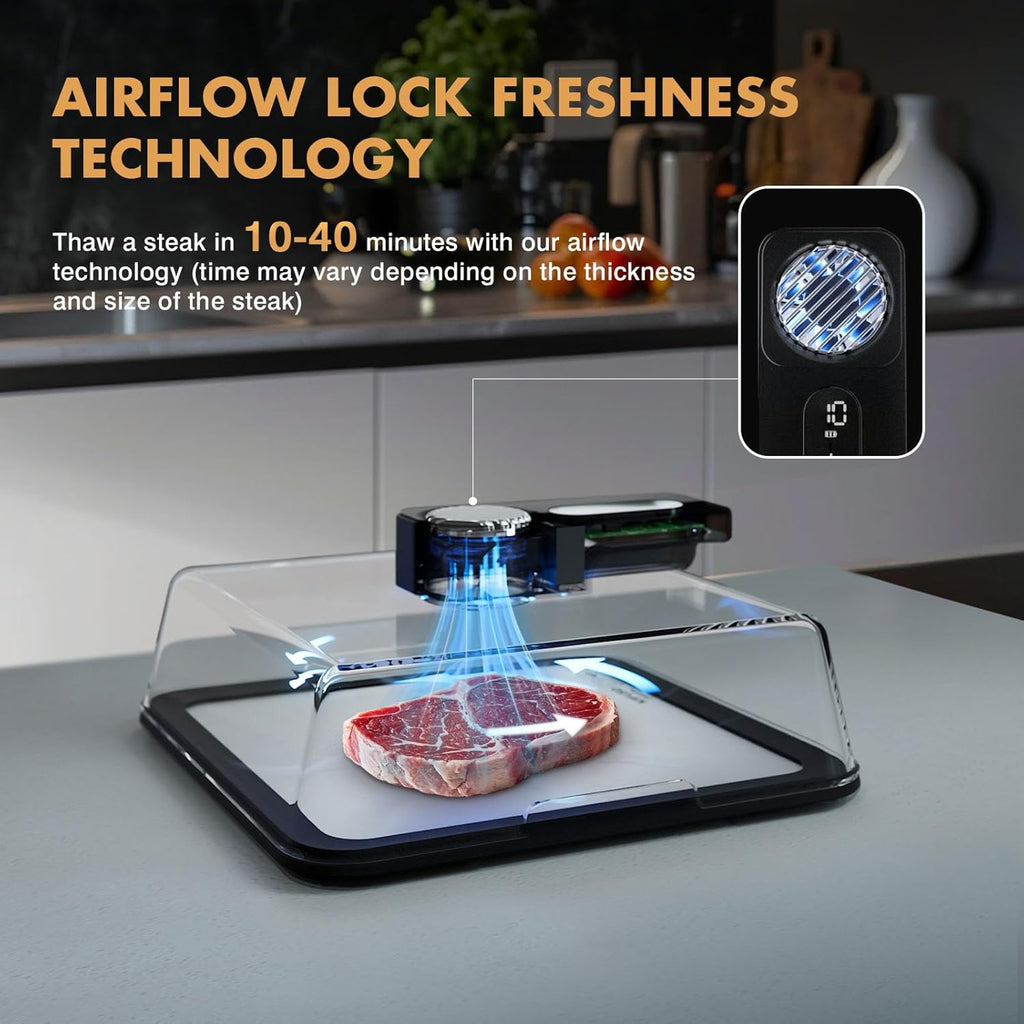 Electric Defrosting Tray / Rapid Food Defroster —