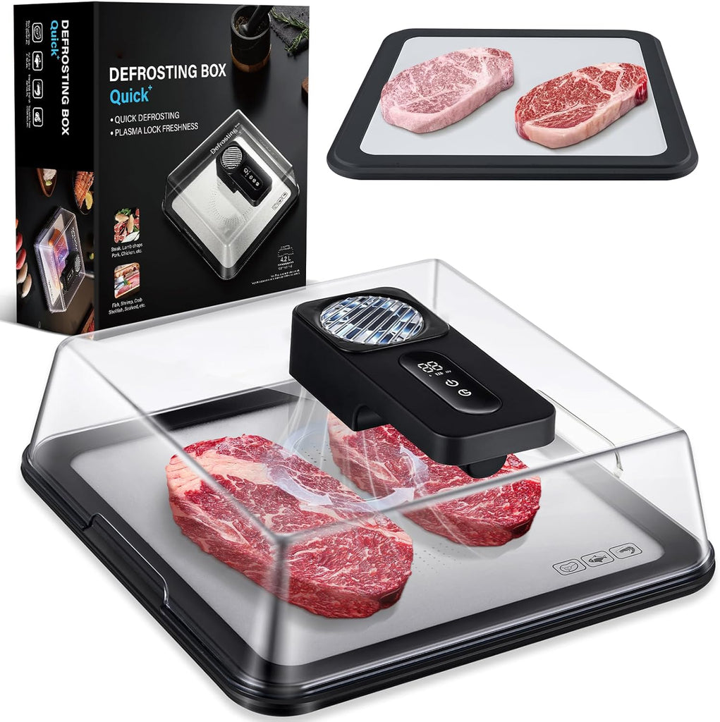 Electric Defrosting Tray / Rapid Food Defroster —